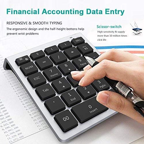 Lekvey Bluetooth Number Pad, 10 Keys Numeric Keypad Portable Wireless Bluetooth Keypad : 28 Key Numpad Extensions For Financial Accounting Data Entry For Laptop Surface Pro Tablets Windows, Silver